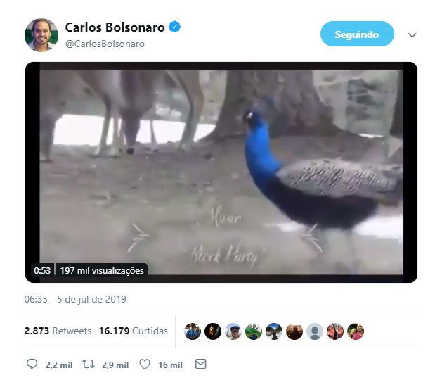 Antes de novas postagens anônimas, Carlos Bolsonaro publicou vídeo com pavão