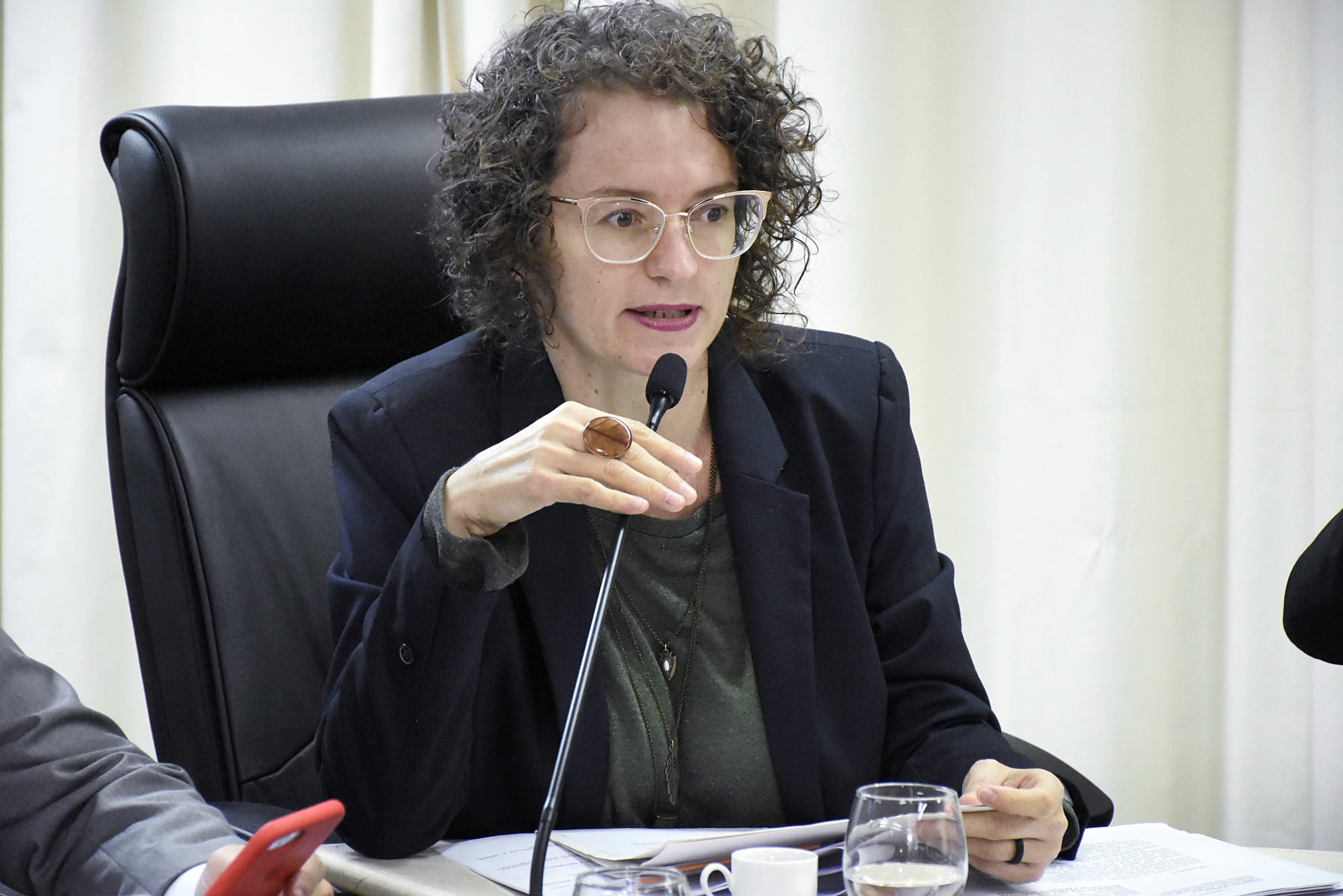 Deputada do PT diz que projeto de Kelps tem intenção política e não ajuda o RN