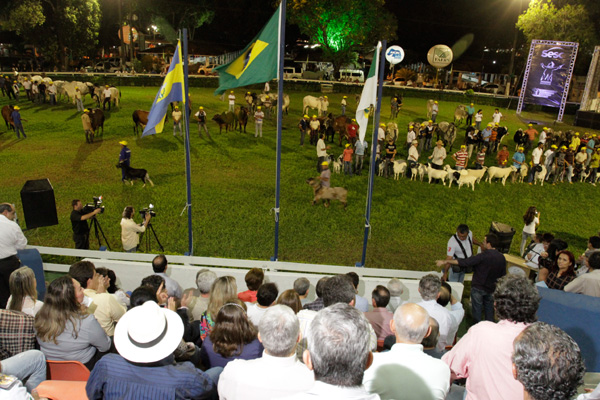 Marcada pelas oportunidade de negócios, Festa do Boi entra no calendário do RN