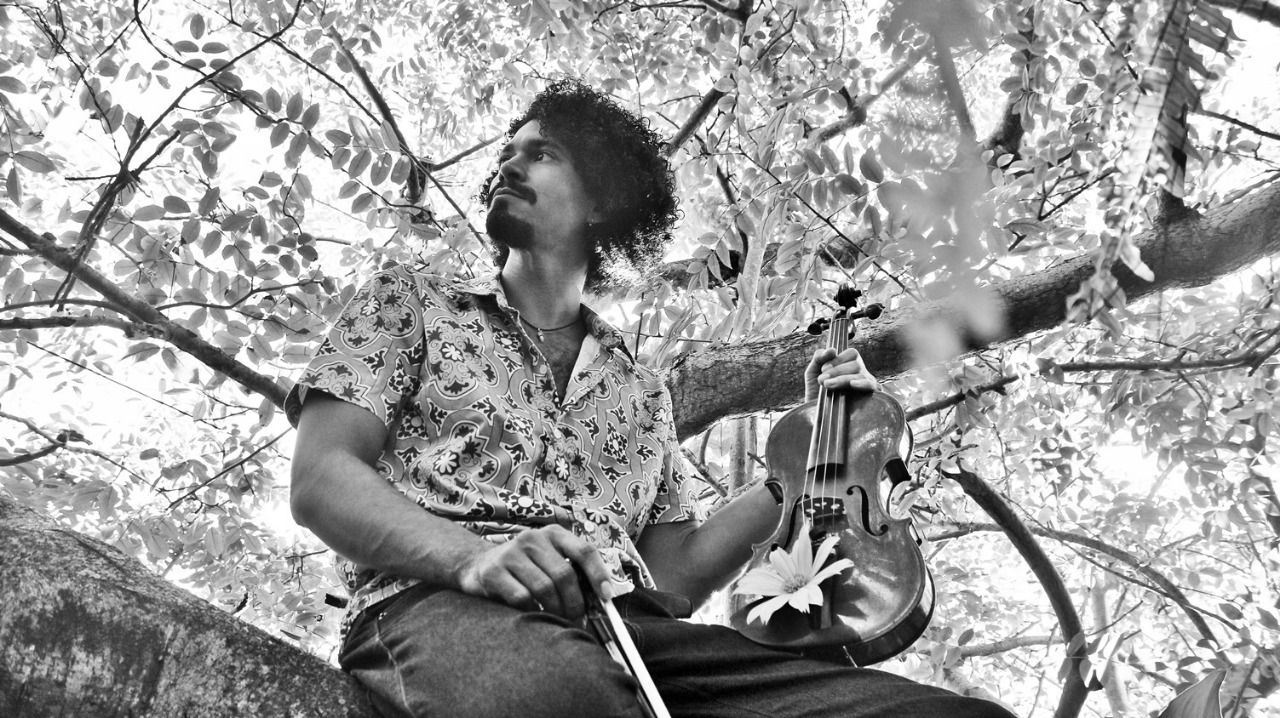 Som da Mata deste domingo terá trio com bandolim, violino, piano e percussão