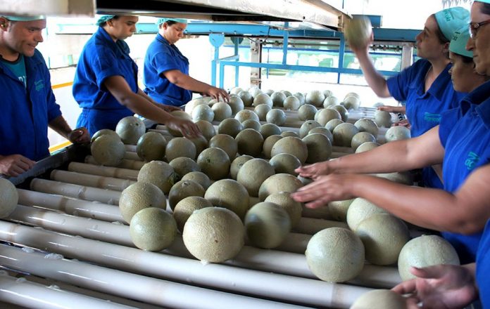 Saldo positivo de empregos no RN é o 1º desde novembro de 2018