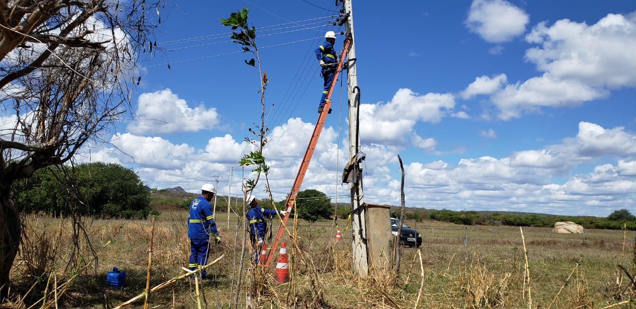 Cosern desativa "gatos" de energia em plantios irrigados de fazendas no RN
