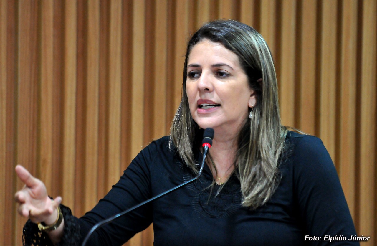Vereadora Nina Souza apresenta projeto que pode zerar fila de exames em Natal