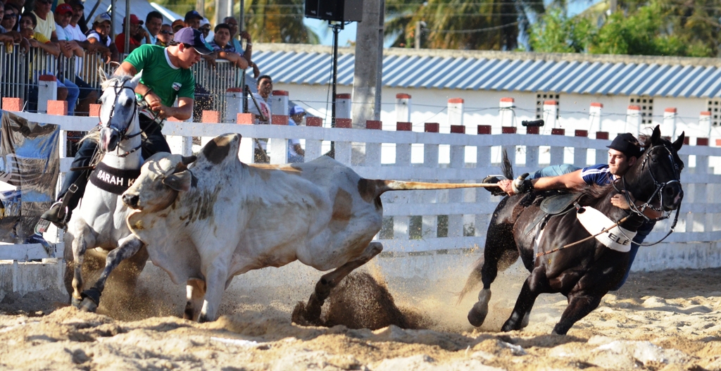 PL que regulamenta vaquejada vai garantir bem-estar dos animais, afirma deputado