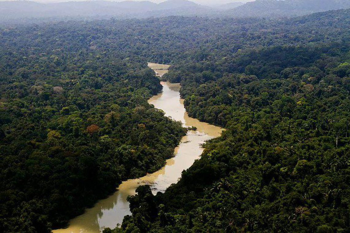 Além de foto fake, Macron errou informação: Amazônia não é pulmão do mundo