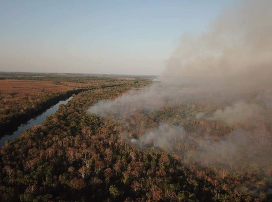 Quatro estados pedem ajuda das Forças Armadas para combate a incêndios