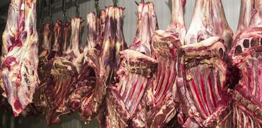 Brasil deverá exportar 25 mil toneladas de carne para a Indonésia