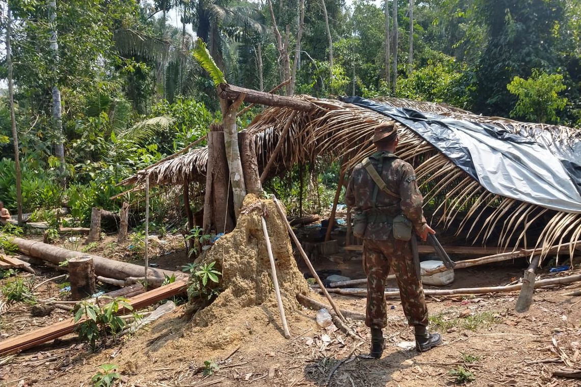 Oito são detidos em operação contra crimes ambientais e queimadas na Amazônia