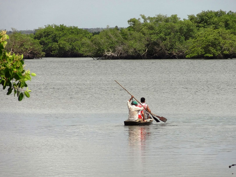 Ministério cancela 300 licenças irregulares de pescadores no RN e mais 6 estados