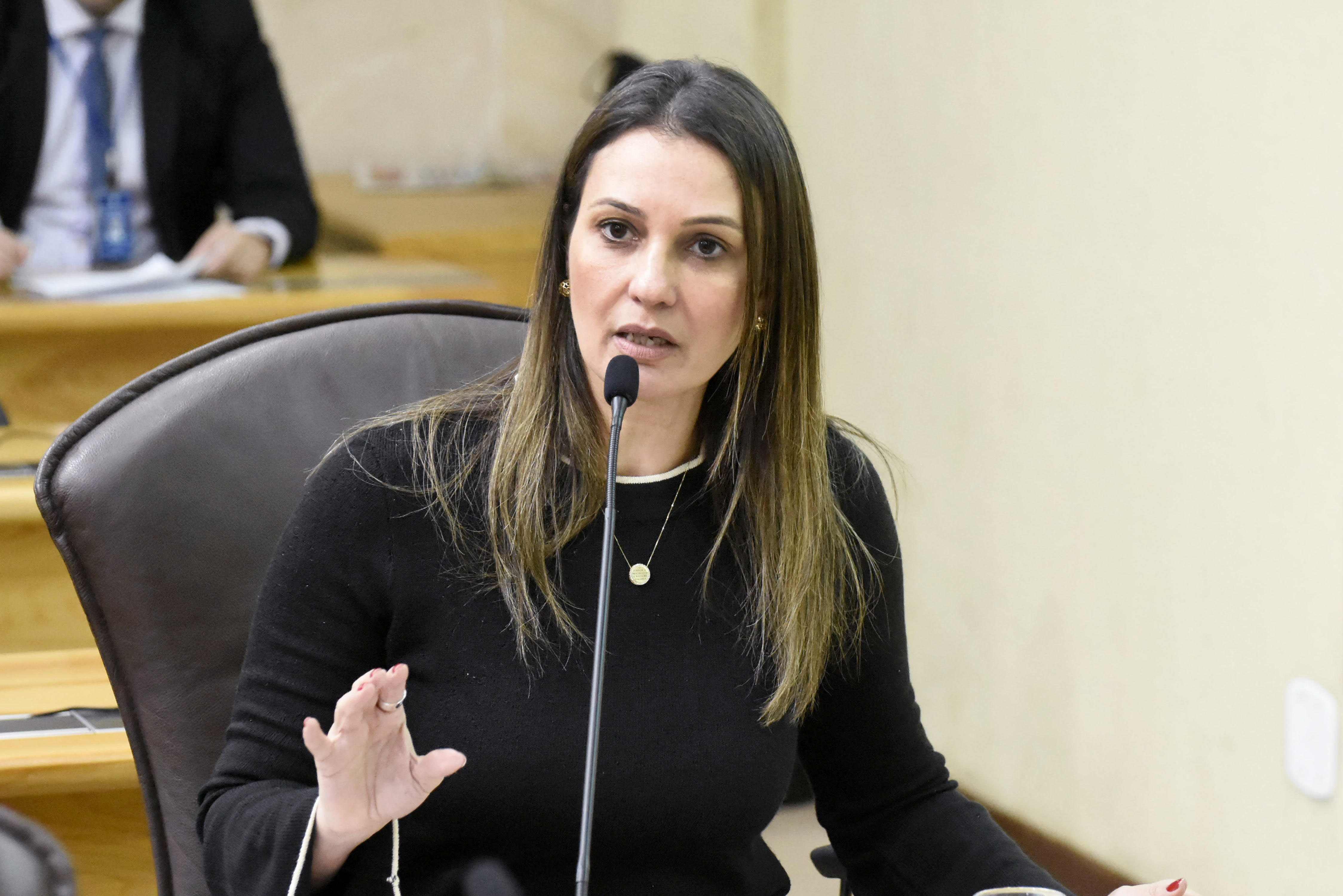 Deputada diz que estatísticas do Governo sobre violência são "terceirizadas"