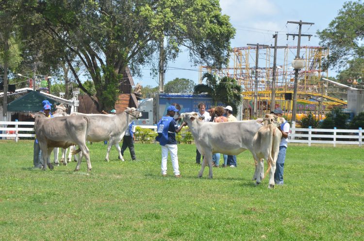 Anorc assina 'termo de compromisso' com MP para garantir segurança dos animais