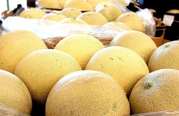 MPT: Fruticultura do RN só paga 56% do salário considerado "digno" pela OIT