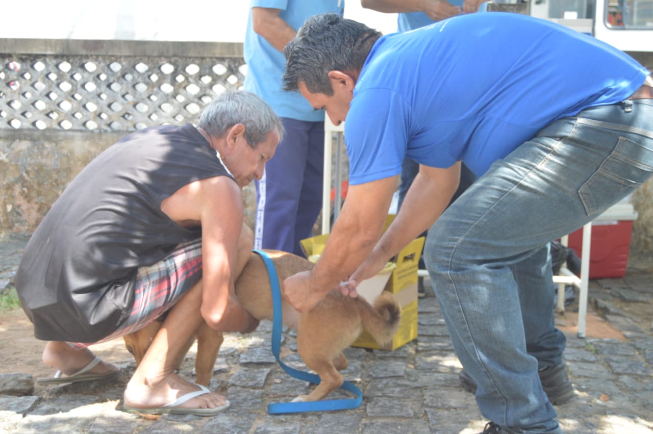 Campanha Antirrábica entra na última semana com novos locais de vacinação