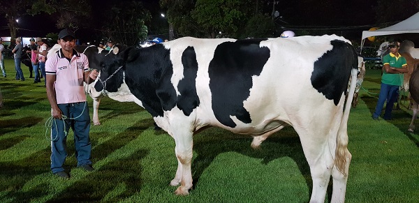 AGN-RN terá condições especiais em linha Pró-Pecuária na Festa do Boi 2019