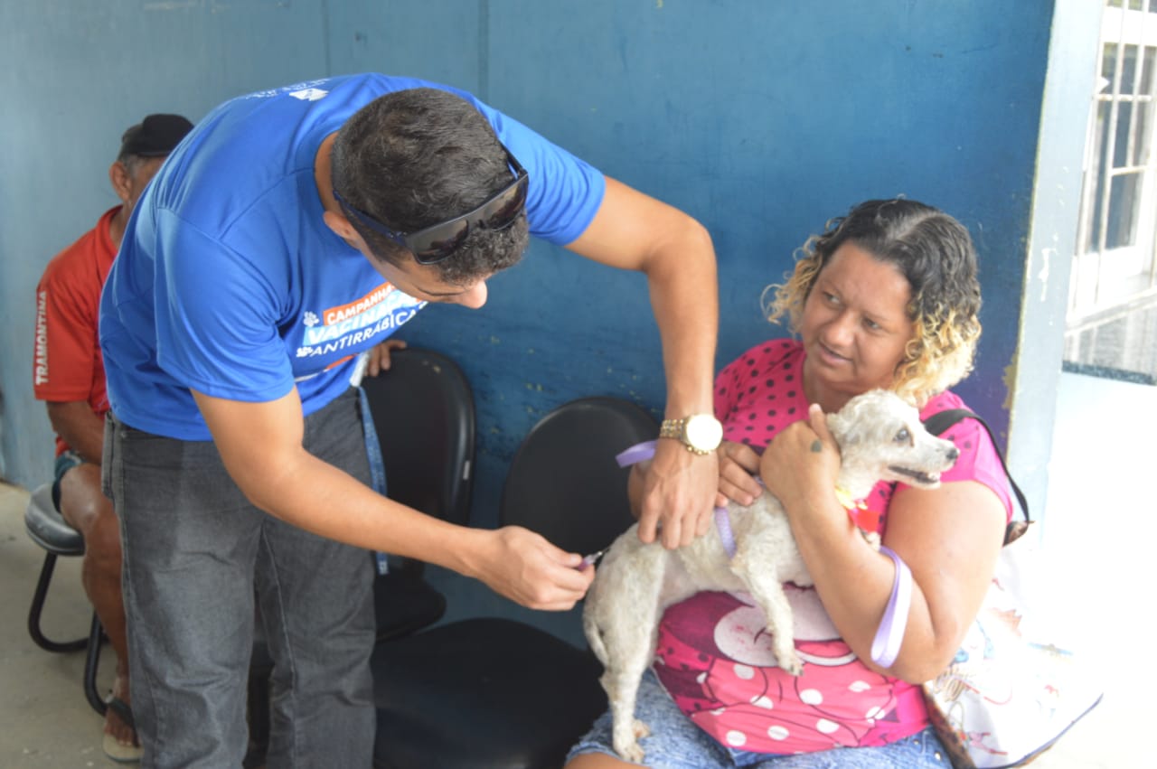 Confira os novos locais de vacinação antirrábica em Natal