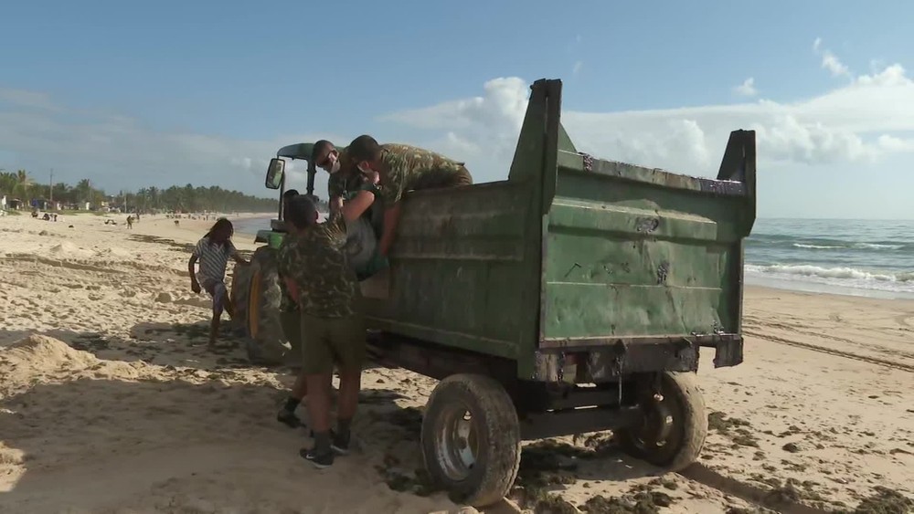 Bolsonaro autoriza uso do Exército no combate às manchas de óleo no Nordeste