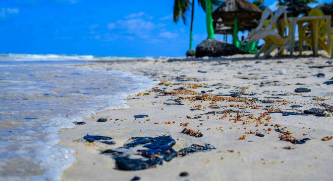 Governo irá capacitar 1,8 mil voluntários no RN para limpar óleo nas praias