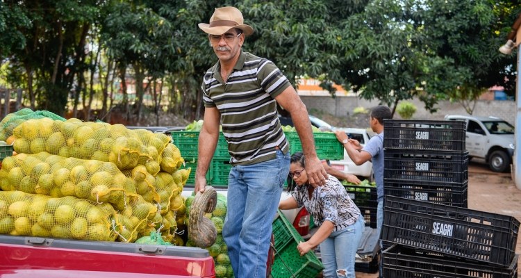 Bolsonaro comemora investimento do Exército na agricultura familiar do RN
