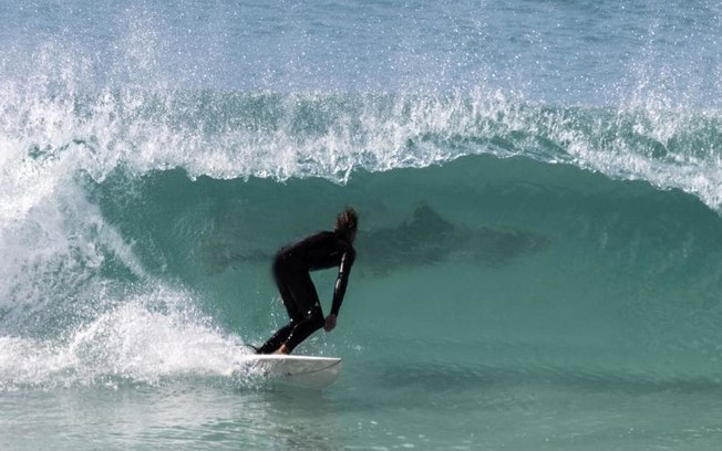 Surfista cai em cima de tubarão após saltar de prancha