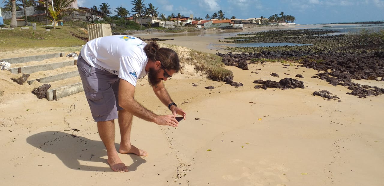 Aplicativo Mar Limpo pode colaborar para monitoramento do óleo nas praias 