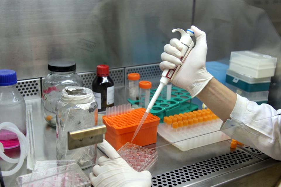 Pesquisadores conseguem combater sintomas do Alzheimer com composto da maconha