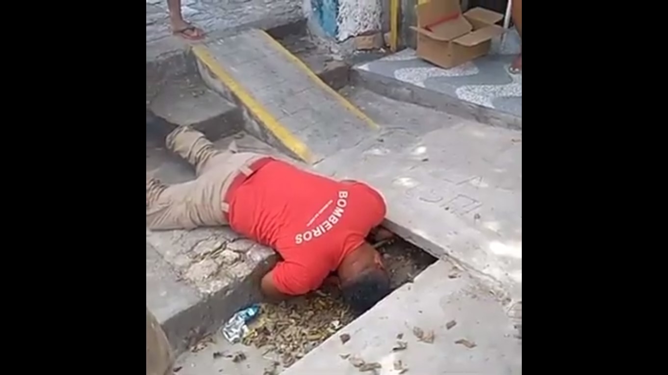 VÍDEO: Bombeiros resgatam filhotes de cachorro presos em bueiro em Areia Preta