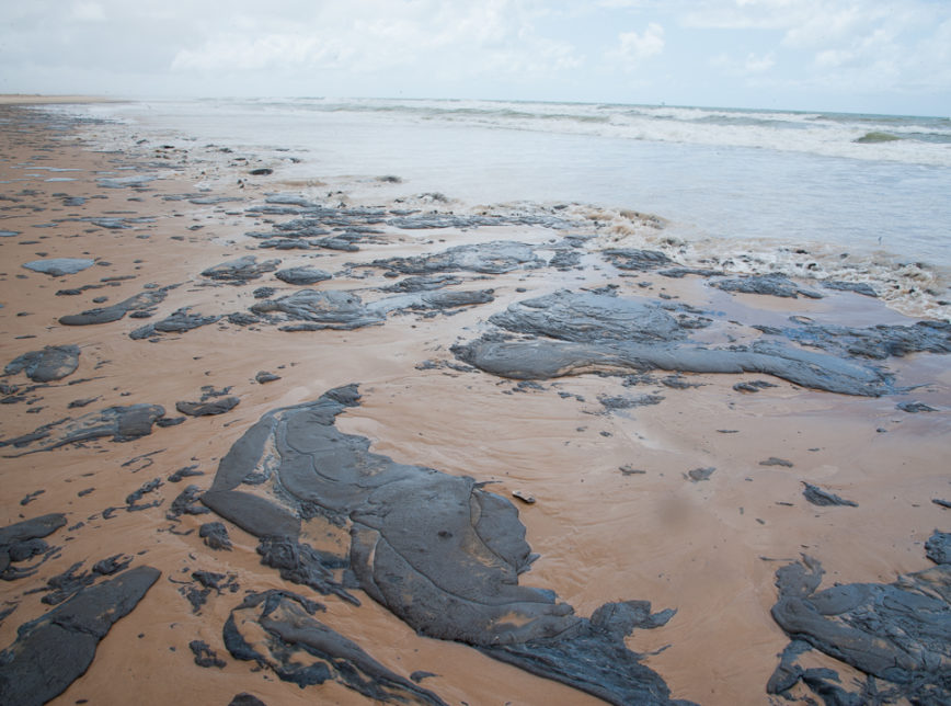 Óleo atinge local de desova de tartarugas no Espírito Santo