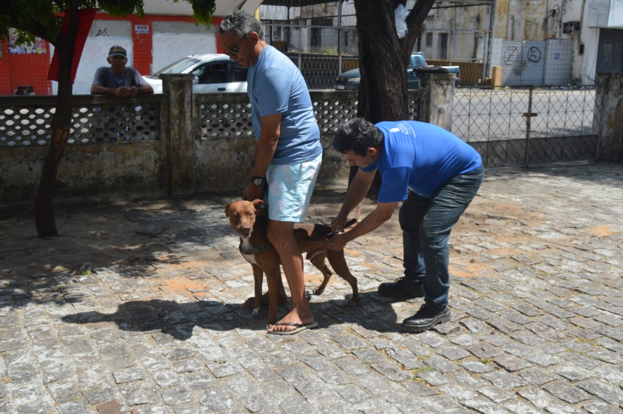 Natal atinge meta em campanha de vacinação contra a raiva