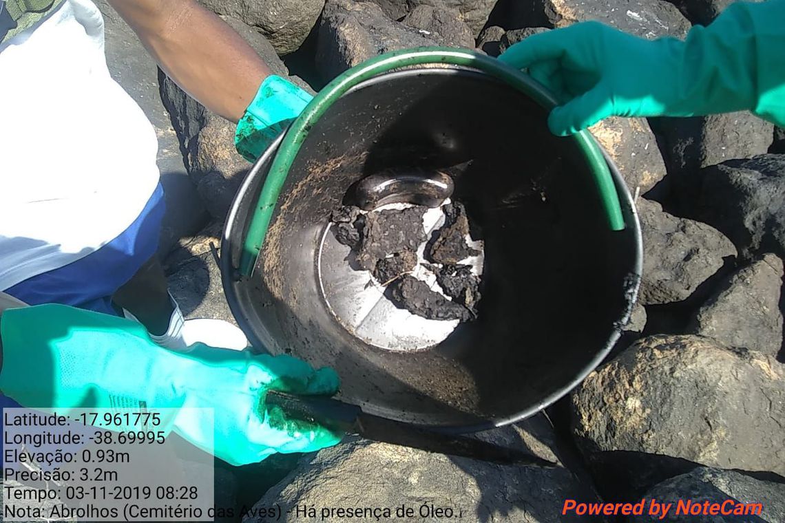 Amostras de duas espécies de peixe apresentam níveis de contaminação por óleo