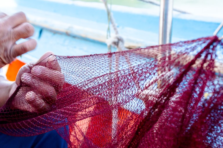 Manchas de óleo: 4,2 mil pescadores do RN irão receber auxílio emergencial