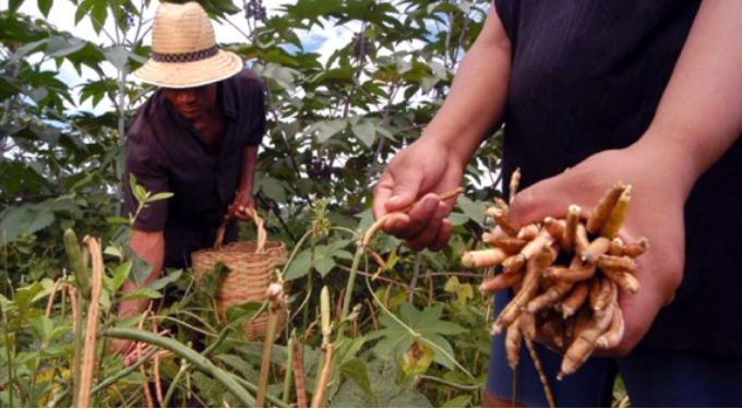 Garantia-Safra paga R$ 19,2 milhões a agricultores de quatro estados