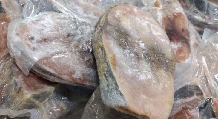 TJ nega habeas corpus para acusado de transportar drogas em peixes