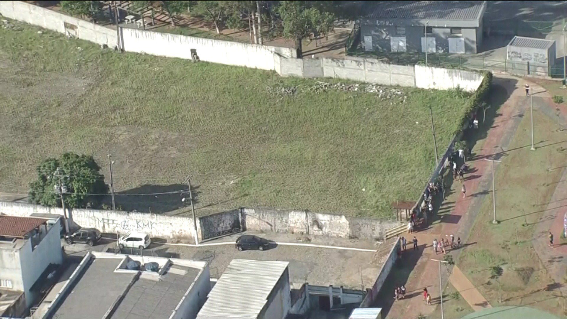 Criança morre após ser atacada por cães em SP