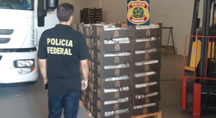 MPF denuncia grupo do RN que tentou exportar 1 tonelada de cocaína pelo porto