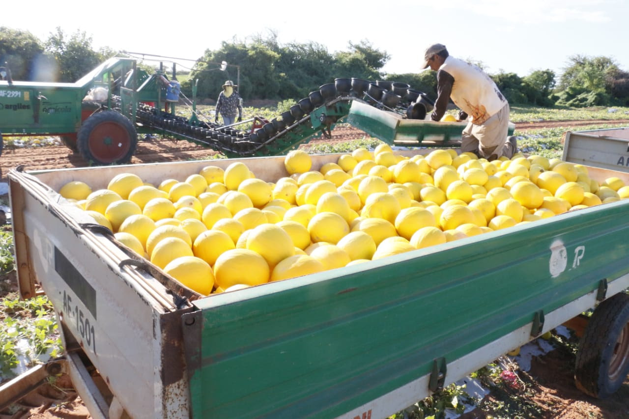 Impulsionado por frutas, RN tem maior volume de exportações da década