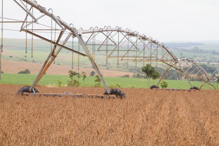 Produção de grãos do país na safra 2019/2020 deverá ser recorde