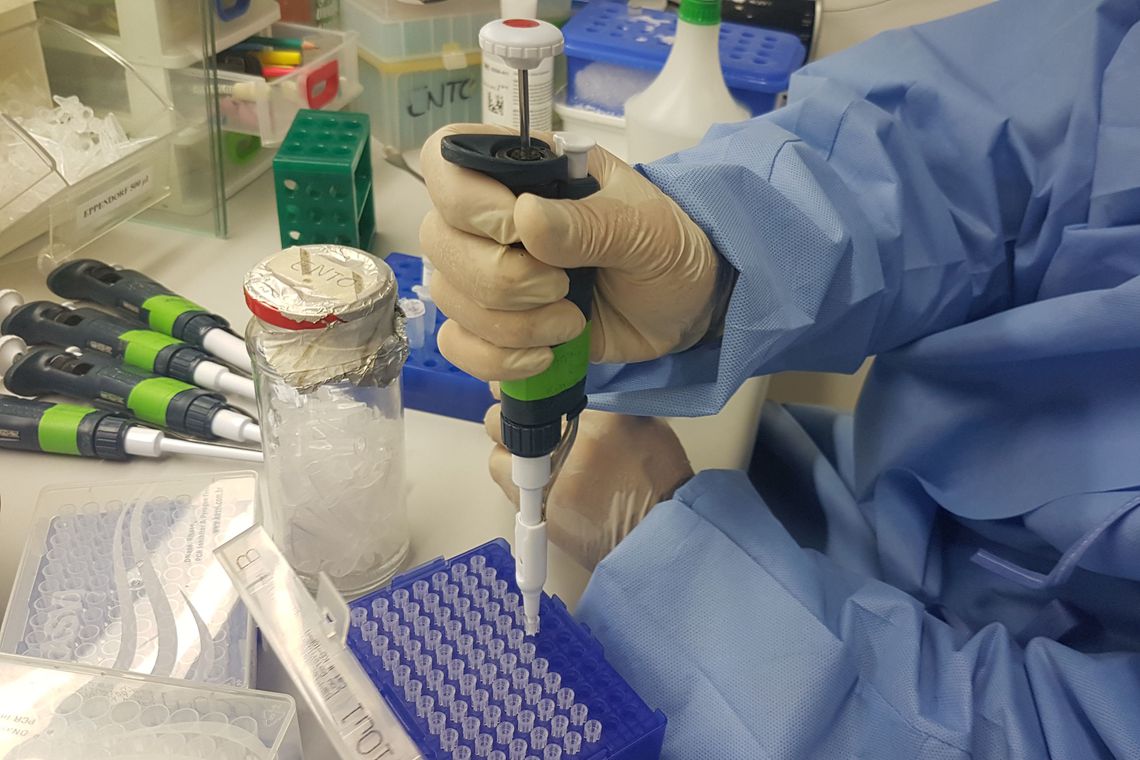 Pesquisa mostra correlação entre desnutrição materna e microcefalia