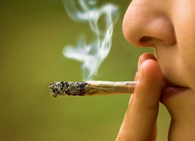 Em Portugal, quase 600 usuários de maconha são internados por ano em surto