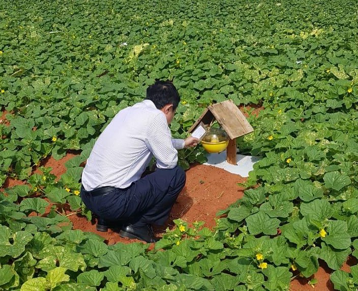 RN recebe visita de chineses e dá último passo para exportar melão para a China