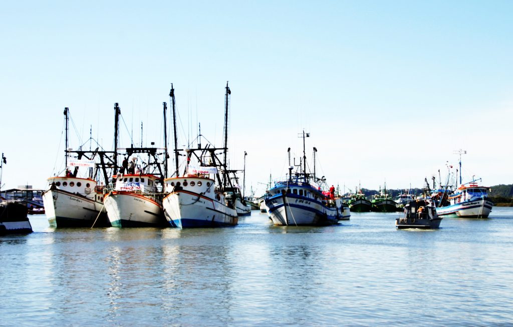 Sindipesca-RN e ICMBio lançam hoje Programa “Parceiros do Oceano Atlântico"