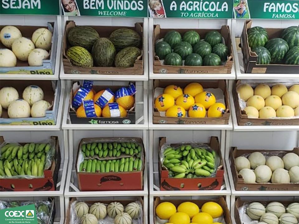 Mercado chinês está oficialmente aberto e RN já pode exportar melão para o país