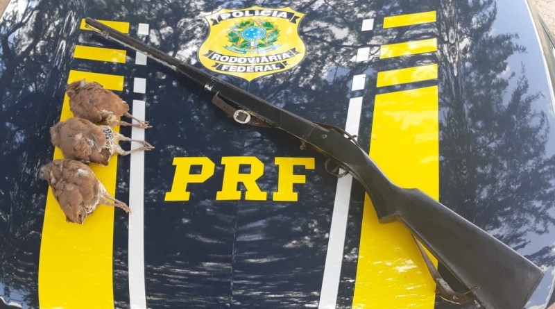 PRF detém 2 idosos e apreende espingardas e aves abatidas no interior do RN