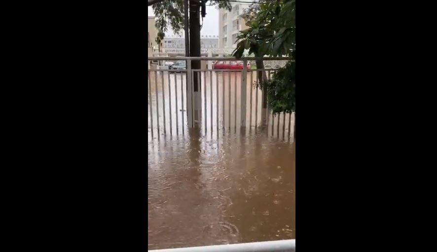 VÍDEO: SP tem 2º maior volume de chuva para fevereiro; moradora filma estragos