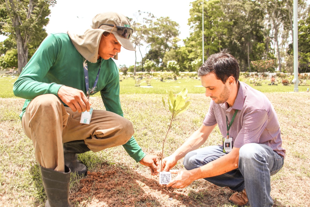 Efeito estufa: Morada da Paz recebe plantio de 200 árvores