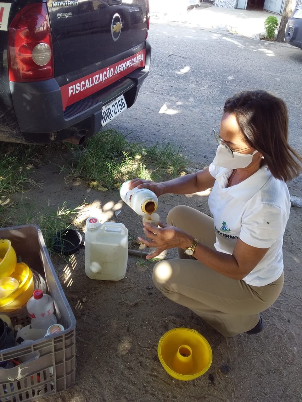 Idiarn mantém monitoramento de pragas para garantir exportação de frutas