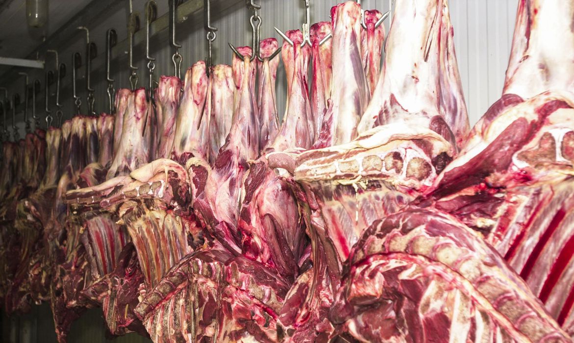 Brasil vai exportar carne bovina para a Tailândia