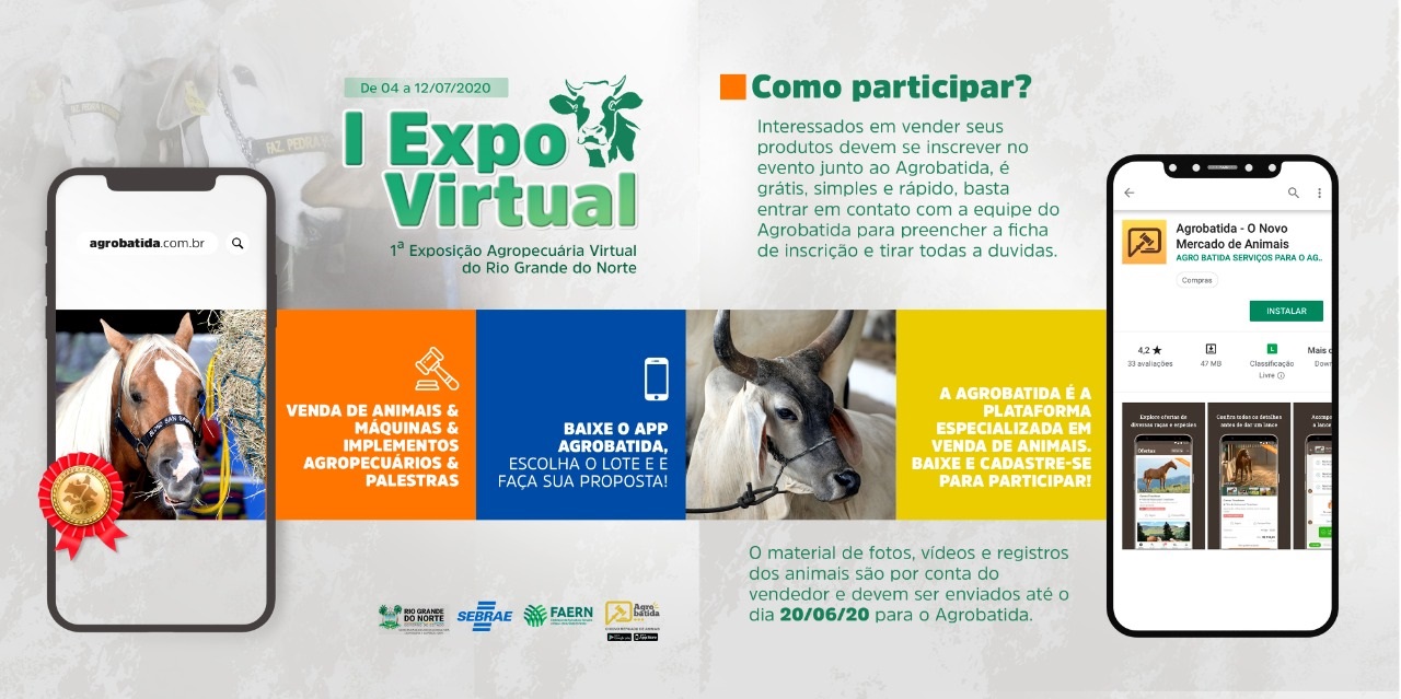 Governo lança exposição virtual agropecuária; saiba como participar