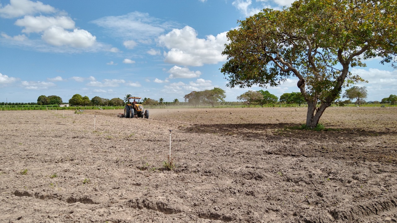 Prefeitura de Macaíba conclui atividades do Corte de Terra 2020