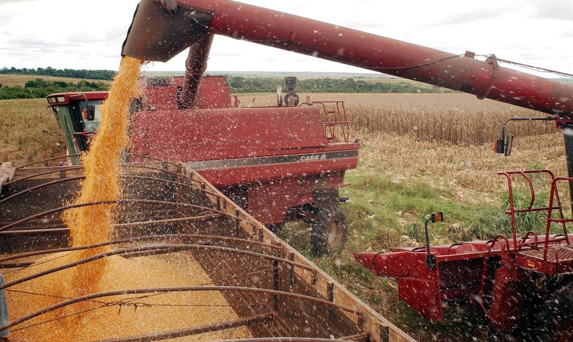 Agronegócio cresce, reduz tombo da economia e deve ser motor da recuperação