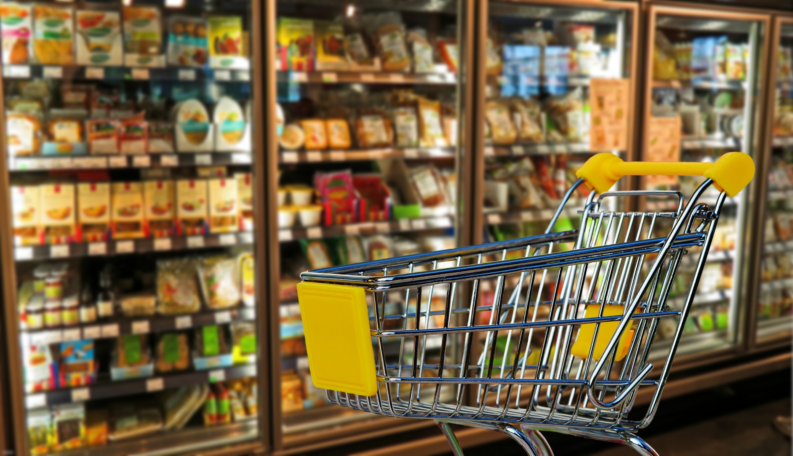 Mercado de congelados ganha espaço durante a quarentena